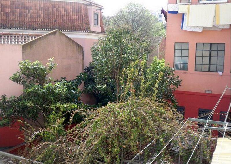 Estrela Cozy Apartment Lissabon Buitenkant foto